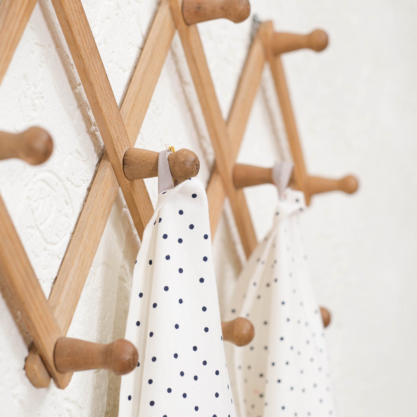 Classic Polka Dot Kitchen Towels with loop (Set of 2)