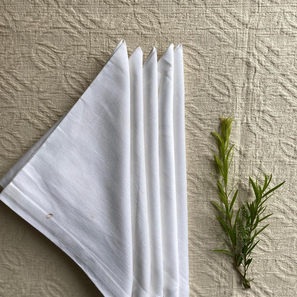 Classic White Napkin (set of 6)